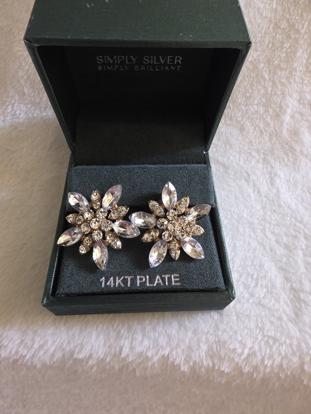 Simply Silver 14KT Plated Crystal Floral Sunburst Statement Earrings